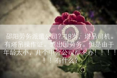 邵阳劳务派遣公司？18岁，塔吊司机。有塔吊操作证。想出国劳务。但是由于年龄太小，几个中介公司都不办！！！！！！有什么？