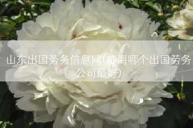 山东出国劳务信息网(威海哪个出国劳务公司最好)