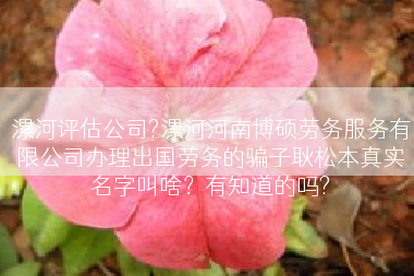 漯河评估公司?漯河河南博硕劳务服务有限公司办理出国劳务的骗子耿松本真实名字叫啥？有知道的吗?