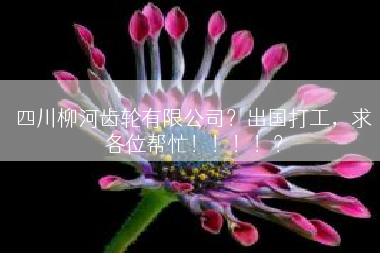 四川柳河齿轮有限公司？出国打工，求各位帮忙！！！！？