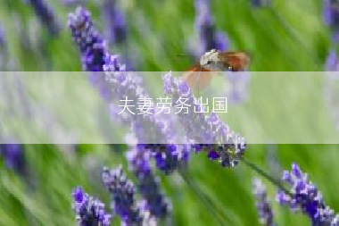 夫妻劳务出国