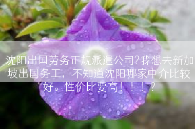 沈阳出国劳务正规派遣公司?我想去新加坡出国务工，不知道沈阳哪家中介比较好。性价比要高！！！?