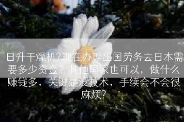 日升干燥机?现在办理出国劳务去日本需要多少资金？其他国家也可以，做什么赚钱多，关键是没技术，手续会不会很麻烦?
