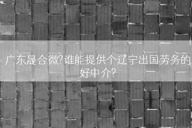 广东晟合微?谁能提供个辽宁出国劳务的好中介?