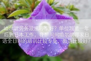 哈尔滨劳务派遣哪家好？单位派遣一年后到日本工作，我想问问哈尔滨哪家日语全日制的培训比较专业，教的比较好？