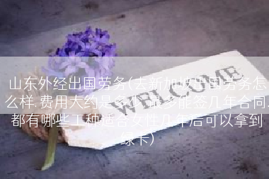 山东外经出国劳务(去新加坡出国劳务怎么样.费用大约是多少.最多能签几年合同.都有哪些工种适合女性几年后可以拿到绿卡)