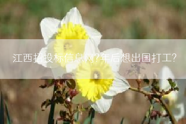 江西招投标信息网?年后想出国打工?
