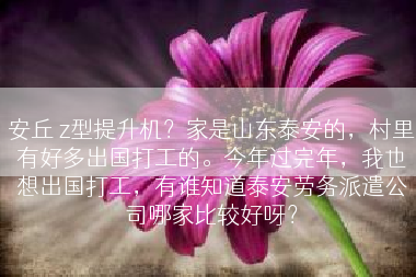 安丘 z型提升机？家是山东泰安的，村里有好多出国打工的。今年过完年，我也想出国打工，有谁知道泰安劳务派遣公司哪家比较好呀？