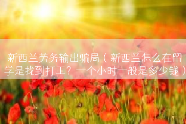 新西兰劳务输出骗局（新西兰怎么在留学是找到打工？一个小时一般是多少钱）