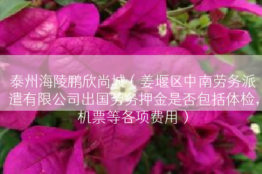 泰州海陵鹏欣尚城（姜堰区中南劳务派遣有限公司出国劳务押金是否包括体检，机票等各项费用）