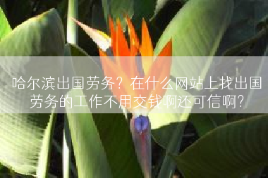 哈尔滨出国劳务？在什么网站上找出国劳务的工作不用交钱啊还可信啊？