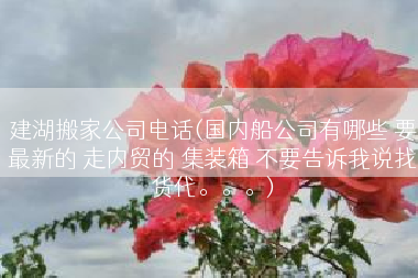 建湖搬家公司电话(国内船公司有哪些 要最新的 走内贸的 集装箱 不要告诉我说找货代。。。)