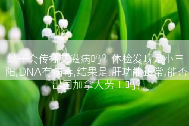 蚊子会传播艾滋病吗？体检发现是小三阳,DNA有病毒,结果是:肝功能正常,能否出国加拿大劳工吗？