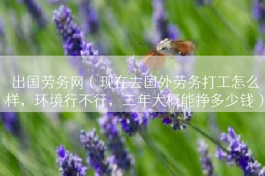 出国劳务网（现在去国外劳务打工怎么样，环境行不行，三年大概能挣多少钱）