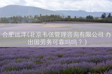 合肥远洋(北京韦弦管理咨询有限公司 办出国劳务可靠吗吗 ？)