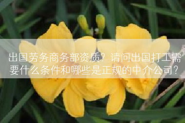 出国劳务商务部资质？请问出国打工需要什么条件和哪些是正规的中介公司？