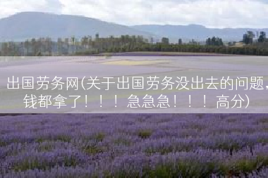 出国劳务网(关于出国劳务没出去的问题，钱都拿了！！！急急急！！！高分)
