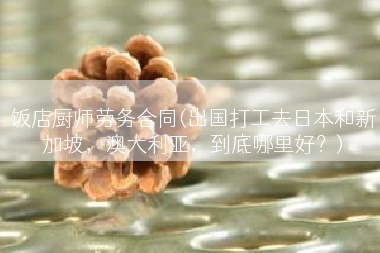 饭店厨师劳务合同(出国打工去日本和新加坡，澳大利亚，到底哪里好？)