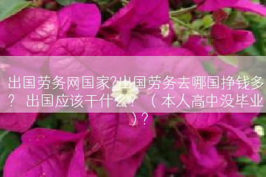 出国劳务网国家?出国劳务去哪国挣钱多？ 出国应该干什么？ （本人高中没毕业）?
