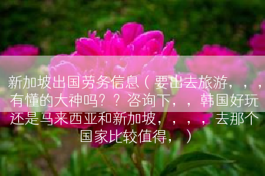 新加坡出国劳务信息（要出去旅游，，，有懂的大神吗？？咨询下，，韩国好玩还是马来西亚和新加坡，，，，去那个国家比较值得，）