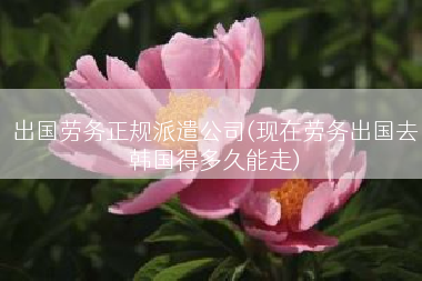 出国劳务正规派遣公司(现在劳务出国去韩国得多久能走)