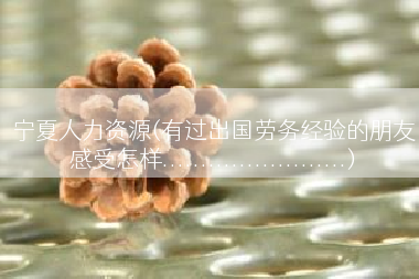 宁夏人力资源(有过出国劳务经验的朋友感受怎样........................)