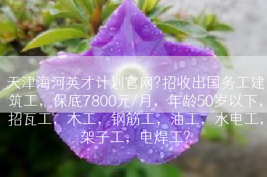 天津海河英才计划官网?招收出国务工建筑工，保底7800元/月，年龄50岁以下，招瓦工，木工，钢筋工，油工，水电工，架子工，电焊工?