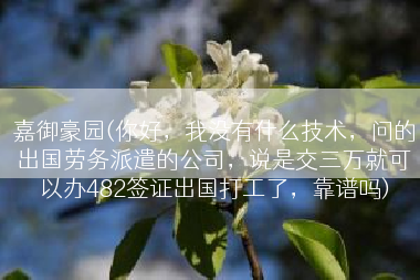 嘉御豪园(你好，我没有什么技术，问的出国劳务派遣的公司，说是交三万就可以办482签证出国打工了，靠谱吗)