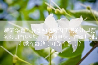 威海华夏？我想知道威海正规的出国劳务公司有哪些，它们的电话，详细地址，和乘车线路（几路车到）？