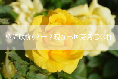 威海联桥(聊一聊现在出国劳务怎么样)