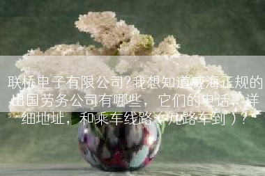 联桥电子有限公司?我想知道威海正规的出国劳务公司有哪些，它们的电话，详细地址，和乘车线路（几路车到）?