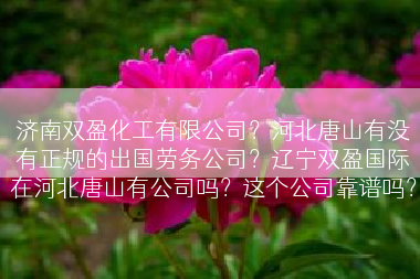 济南双盈化工有限公司？河北唐山有没有正规的出国劳务公司？辽宁双盈国际在河北唐山有公司吗？这个公司靠谱吗？