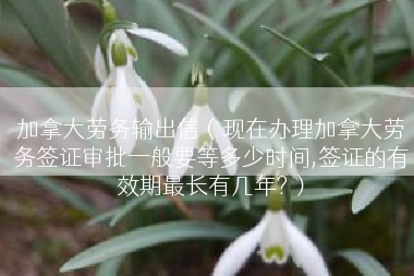加拿大劳务输出信（现在办理加拿大劳务签证审批一般要等多少时间,签证的有效期最长有几年?）