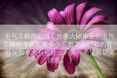 电气工程师初级（加拿大刚毕业的电气工程师年薪大概多少？有工作经验的呢？ 移民加拿大有些什么利弊？希望能切实回答。）