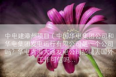 中电建漳州项目（中国华电集团公司和华电集团发电运行有限公司是一个公司吗？华电青海大通发电公司招聘去国外工作可信吗...）