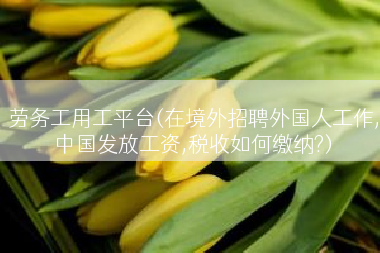 劳务工用工平台(在境外招聘外国人工作,中国发放工资,税收如何缴纳?)