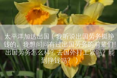 太平洋加达出国（我听说出国劳务挺挣钱的，我想问问有过出国劳务的前辈们！出国劳务怎么样？去国外打工累吗？能到挣钱吗？）