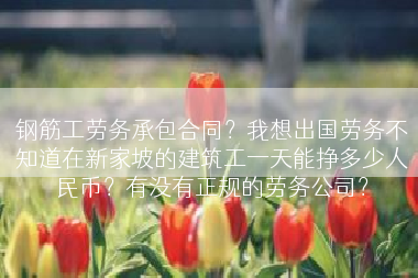 钢筋工劳务承包合同？我想出国劳务不知道在新家坡的建筑工一天能挣多少人民币？有没有正规的劳务公司？
