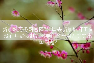 新加坡劳务网官网?出国去新加坡打工有没有年龄限制？需要什么费用？等等出国问题?