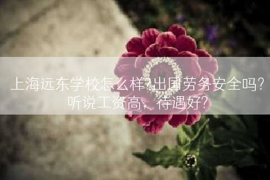 上海远东学校怎么样?出国劳务安全吗？听说工资高，待遇好?
