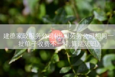 建德家政服务公司(出国劳务公司相同一批单子收费不一样,算违法吗)