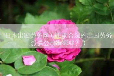 日本出国劳务网（正规合法的出国劳务派遣公司有哪些？）