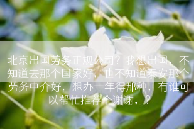 北京出国劳务正规公司？我想出国，不知道去那个国家好，也不知道泰安那个劳务中介好，想办一年得那种，有谁可以帮忙推荐个谢谢，？