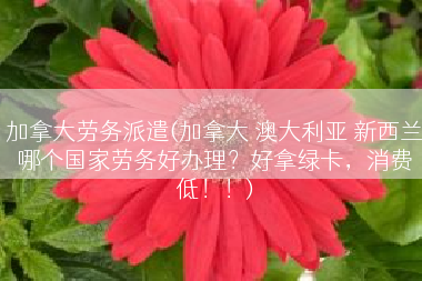 加拿大劳务派遣(加拿大 澳大利亚 新西兰哪个国家劳务好办理？好拿绿卡，消费低！！)