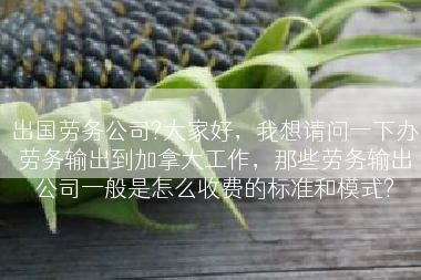 出国劳务公司?大家好，我想请问一下办劳务输出到加拿大工作，那些劳务输出公司一般是怎么收费的标准和模式?