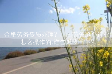 合肥劳务资质办理？出国劳务这个行业怎么操作的,谁告诉我一下？
