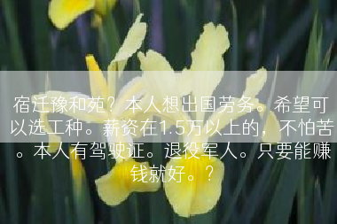 宿迁豫和苑？本人想出国劳务。希望可以选工种。薪资在1.5万以上的，不怕苦。本人有驾驶证。退役军人。只要能赚钱就好。？