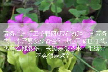 劳务出国打工招聘网(现在办理出国劳务去日本需要多少资金？其他国家也可以，做什么赚钱多，关键是没技术，手续会不会很麻烦？)