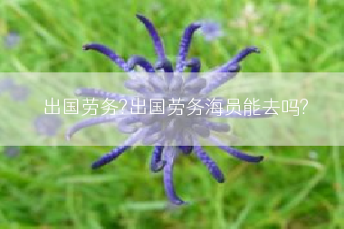 出国劳务?出国劳务海员能去吗?