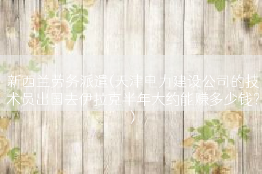 新西兰劳务派遣(天津电力建设公司的技术员出国去伊拉克半年大约能赚多少钱？)